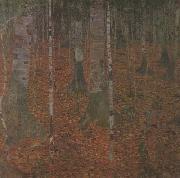Birch Wood (mk20)